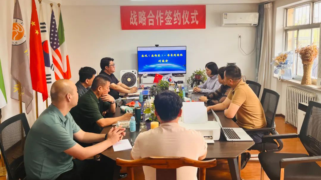 架起中韩合作之桥：共筑繁荣与友谊的新篇章