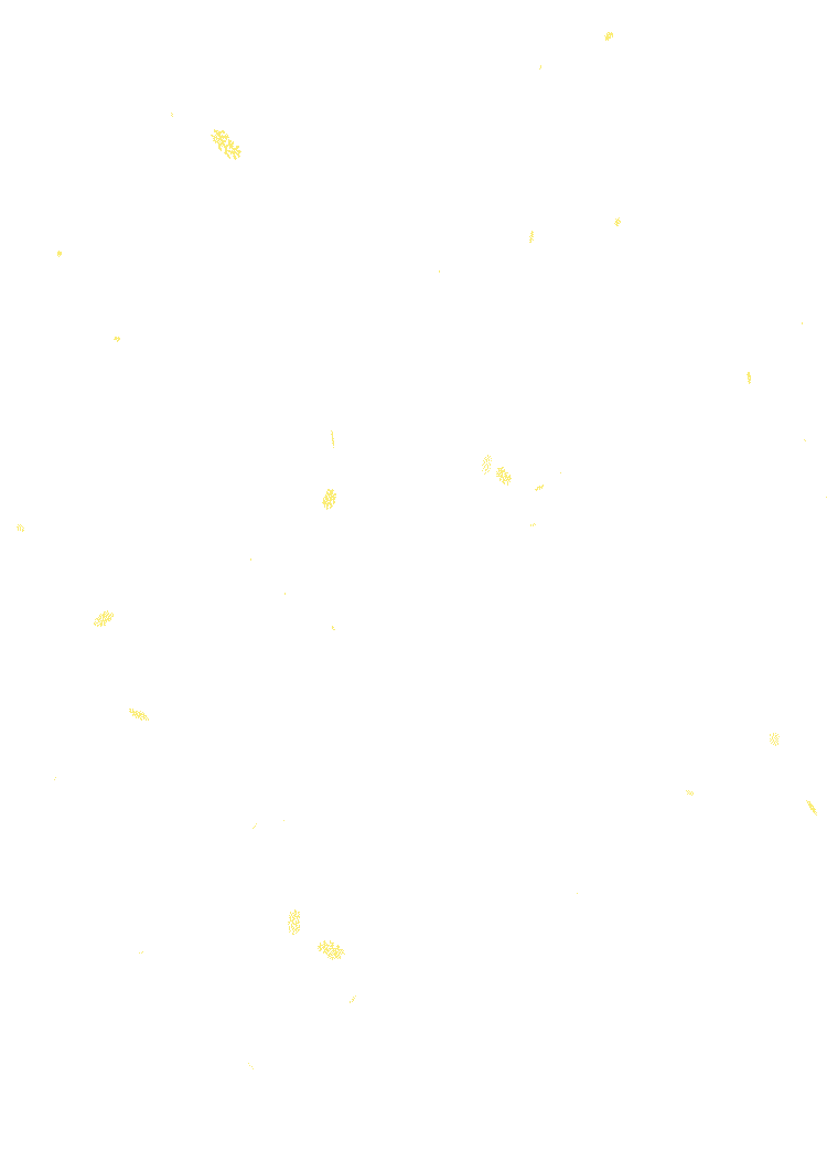 冠玖第四季度 | 新项目中标喜讯