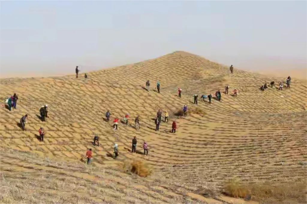 冠玖姐弟趣说铁路：沙漠天路的奇迹